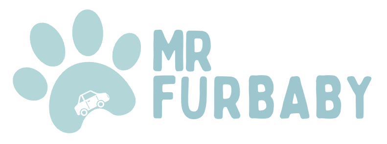 Mr FurBaby